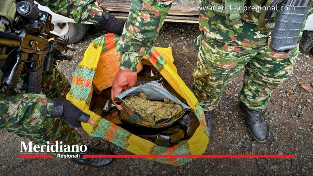 Marihuana encontrada en costales durante operativo en Miranda - Meridiano Regional Ejército Nacional inspecciona marihuana hallada en costales en Miranda, Cauca.
