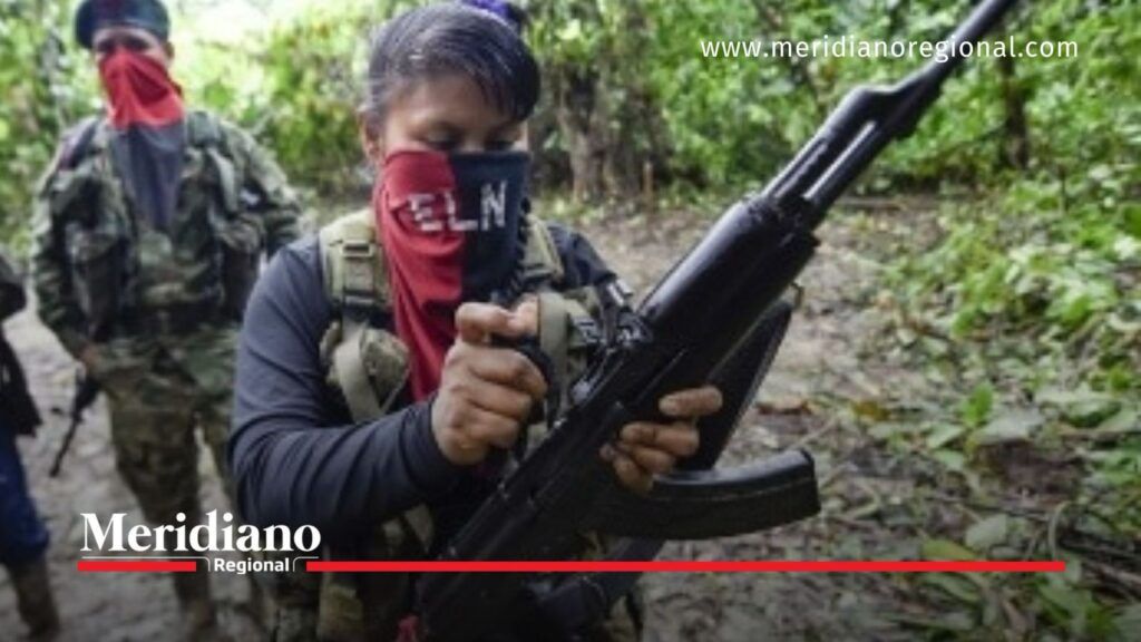 Integrantes de las FARC en zona boscosa - Meridiano Regional Integrante de las FARC armado y con el rostro cubierto en una zona boscosa.