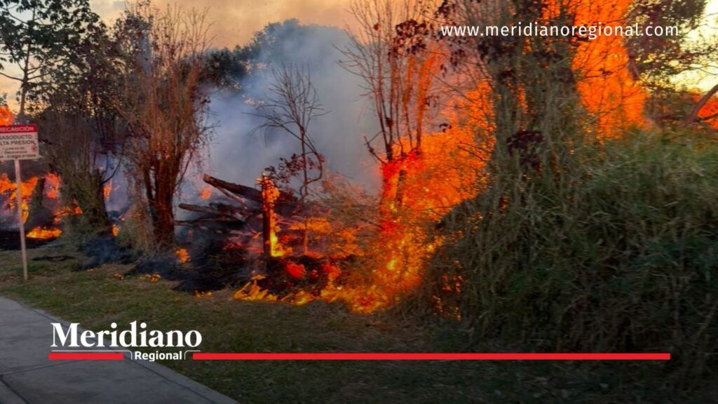 Incendio en Popayán alcanza vegetación junto a infraestructura del Acueducto de Popayán.