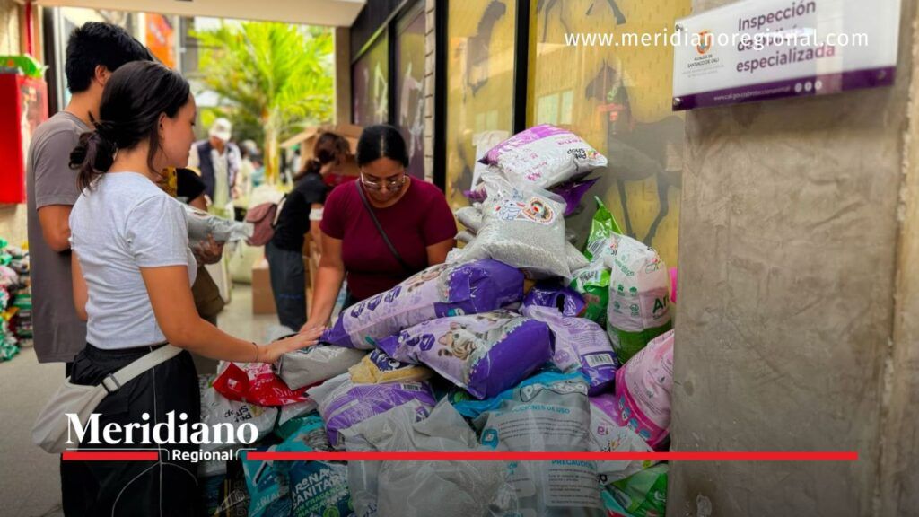 Alimento para animales afectados por el terremoto - Meridiano Regional Sacos de alimento organizados para la atención de los animales afectados por el terremoto en Valle del Cauca.
