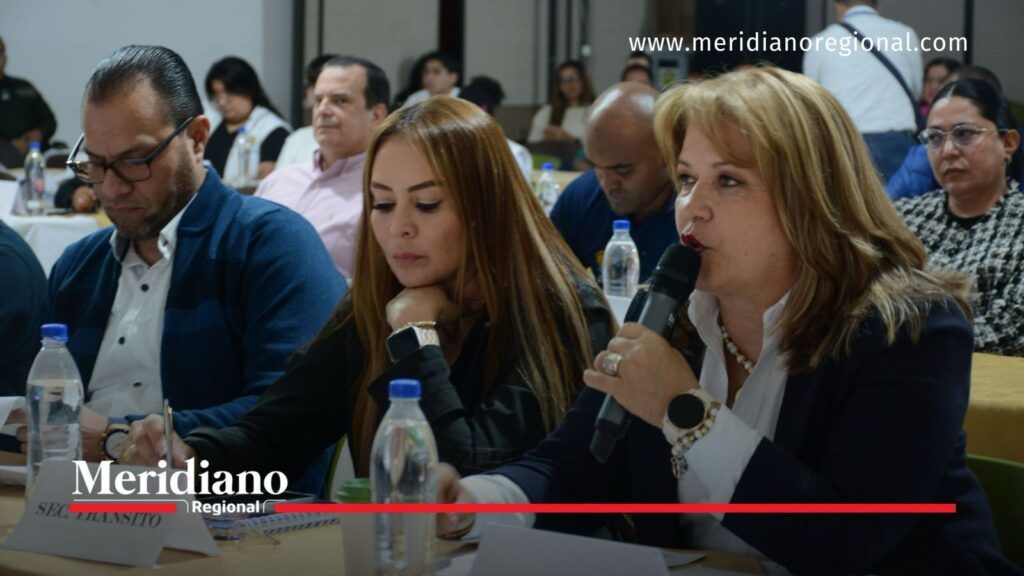 Participantes durante sesión del Consejo Municipal de Política Social de Popayán.