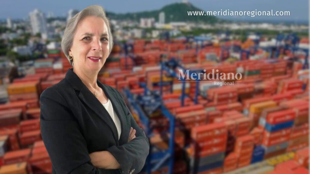 Representante del sector frente a contenedores del puerto de Buenaventura.