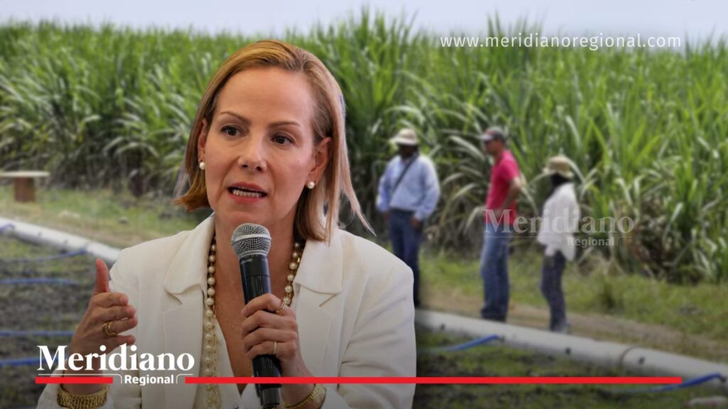 Claudia Calero frente a cultivo de caña en noticia sobre Buenaventura.