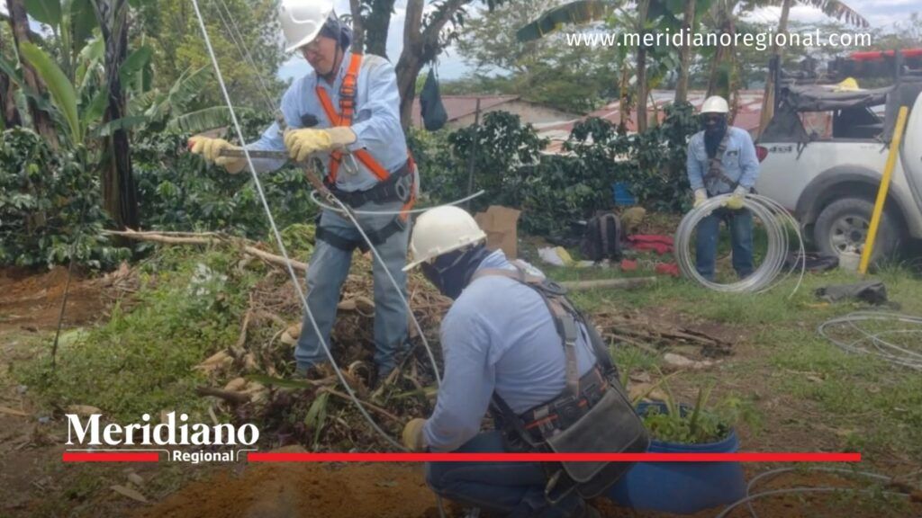 WhatsApp Image 2026-10-15 at 80056 AM - Meridiano Regional Técnicos trabajan en la red eléctrica durante el restablecimiento de energía en El Tambo, Cauca.
