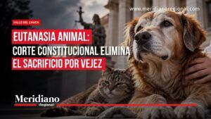 Corte Constitucional elimina sacrificio por vejez - Meridiano Regional Eutanasia animal: Corte Constitucional elimina el sacrificio por vejez.