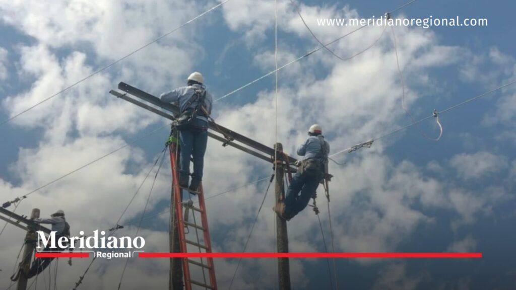 Trabajadores de CEO con cascos y equipos de protección realizan labores en altura sobre postes y cables de una red eléctrica.