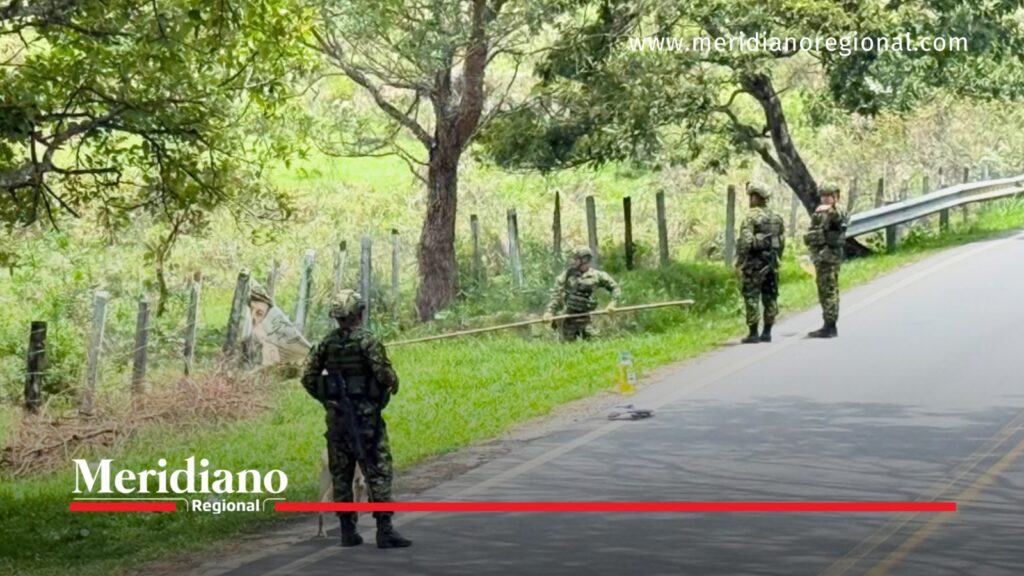 Cuatro soldados del Ejército Nacional inspeccionan una zona de vegetación junto a la vía Panamericana, en El Patía, Cauca.