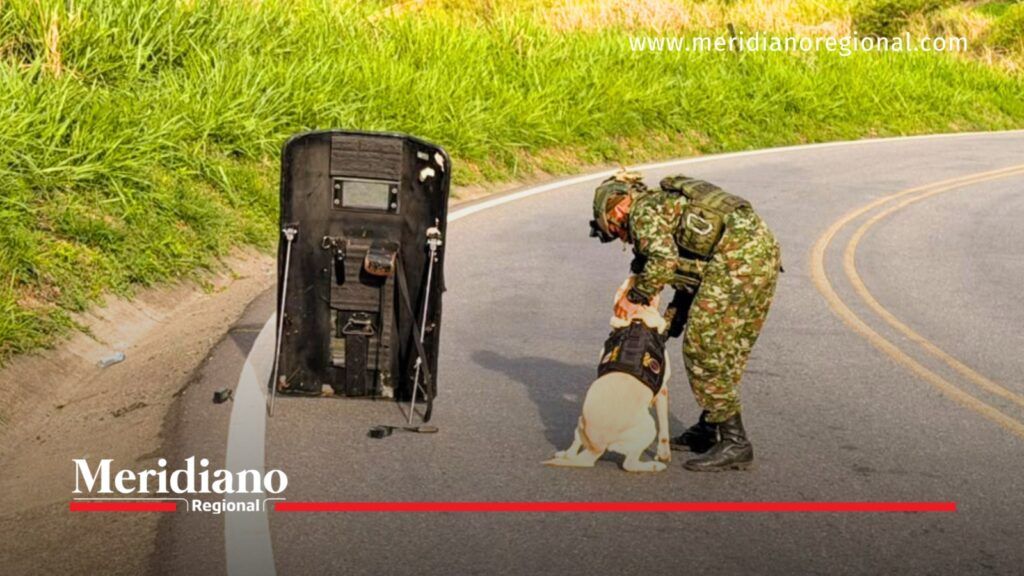 Soldado del Ejército Nacional con un canino de inspección y un escudo de protección en la vía Panamericana, Cauca.