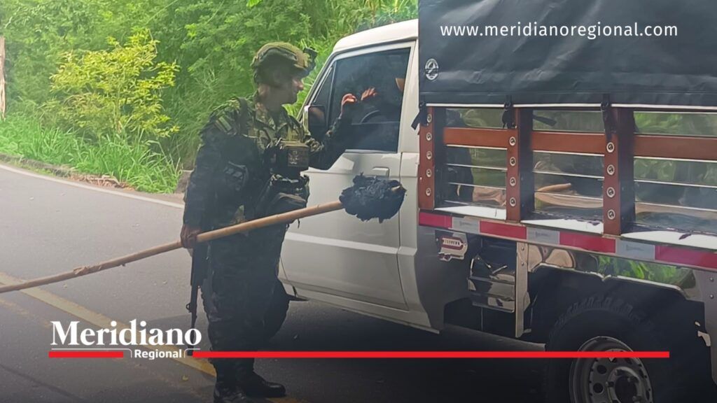 Militar del Ejército Nacional realiza labores de control vehicular junto a un camión en la vía Panamericana, en Cauca.
