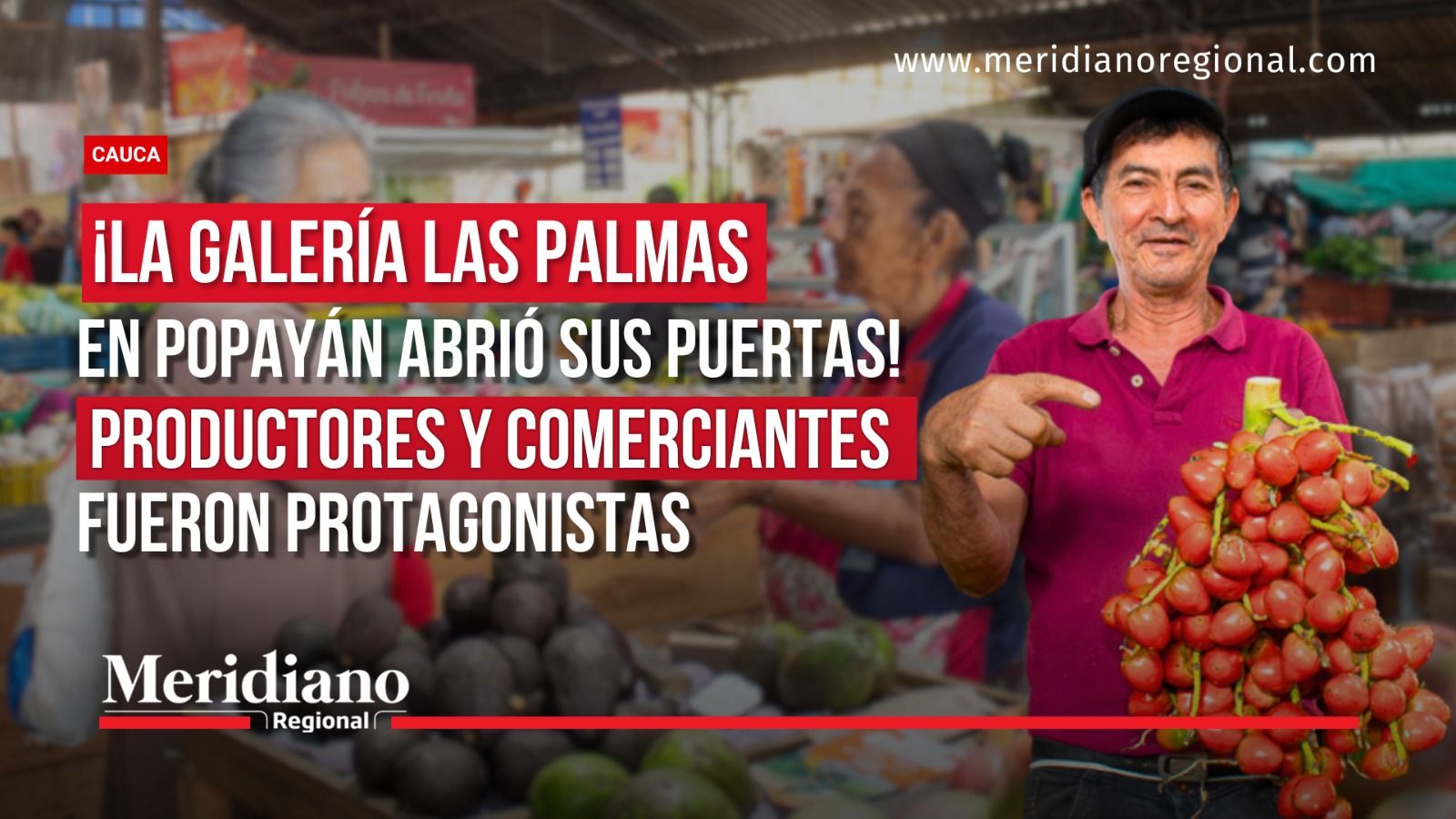 Comerciante exhibe tomates en la Plaza de Mercado Las Palmas de Popayán durante una jornada de promoción de productos del campo.