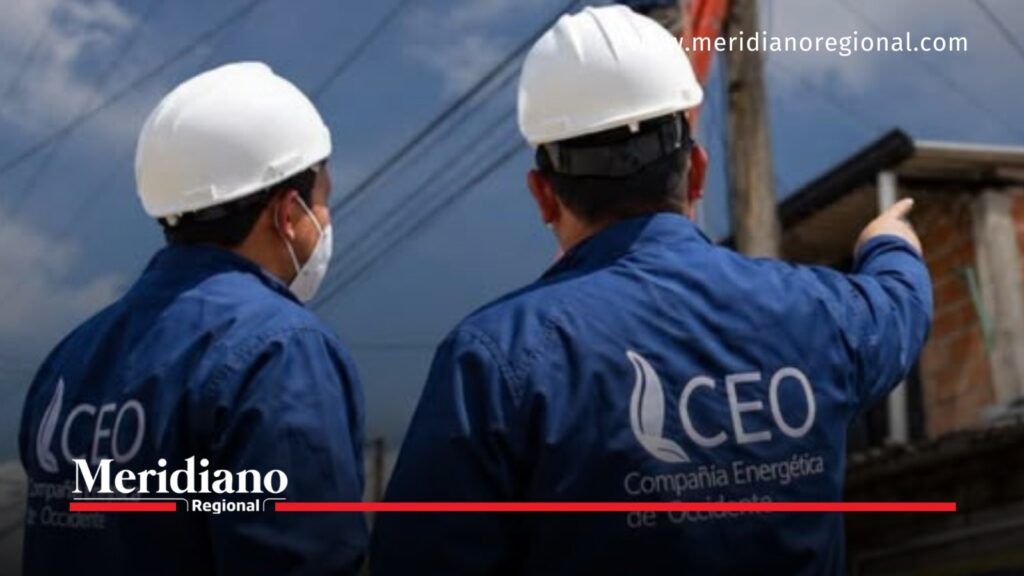 Personal de CEO durante labores de inspección eléctrica. - Meridiano Regional Dos trabajadores de CEO con cascos blancos y uniformes azules observan una zona con redes eléctricas.