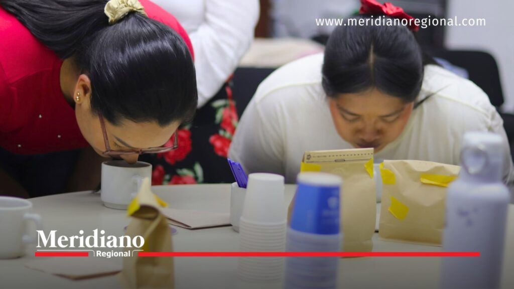 Mujeres cafeteras participan en evaluación de café. - Meridiano Regional Dos mujeres se inclinan sobre tazas de café durante una actividad de evaluación sensorial relacionada con el sector cafetero.