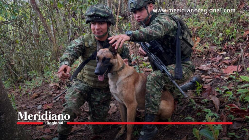 Dos militares con uniformes camuflados y cascos acompañan a un perro de pelaje marrón y negro en una zona boscosa.